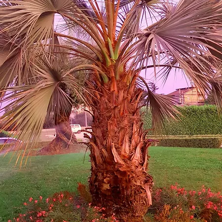 Concorde Sant'Egidio alla Vibrata